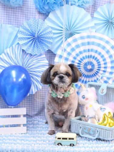 20231116ココロくん